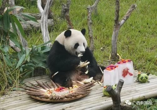 娱乐吃瓜酱南宁动物园